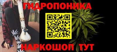 молекула духа Лесосибирск