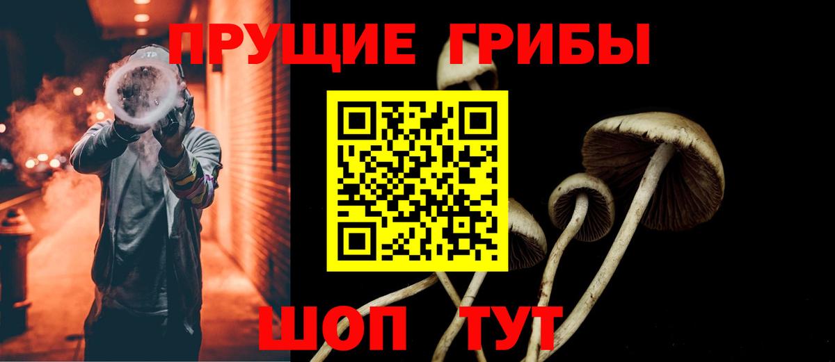 Псилоцибиновые грибы MAGIC MUSHROOMS Воткинск